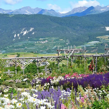 Отель Wellness E Stella Delle Alpi